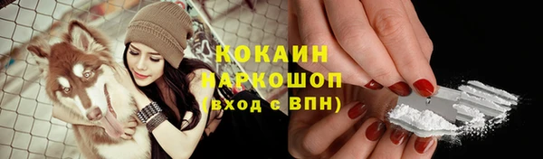 молекула духа Аркадак
