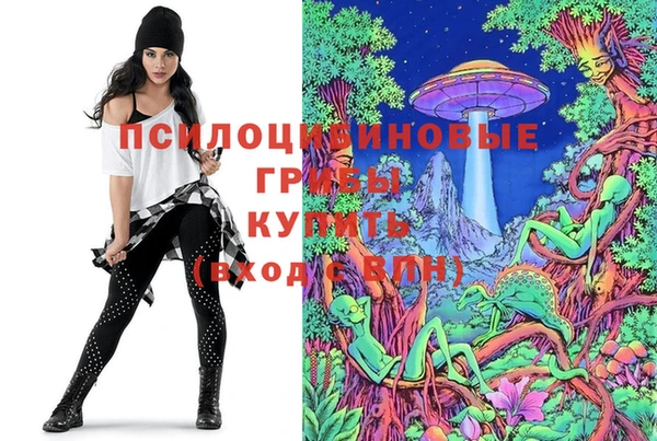 молекула духа Аркадак