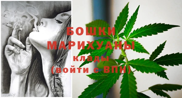 молекула духа Аркадак