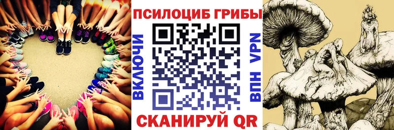 Псилоцибиновые грибы мицелий Углич